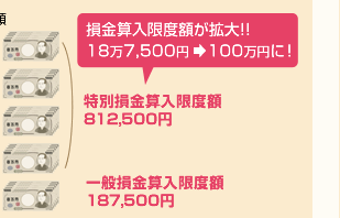 損金算入限度額が拡大!!18万7,500円 100万円に! 特別損金算入限度額812,500円 一般損金算入限度額187,500円