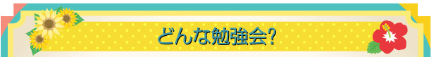 どんな勉強会？